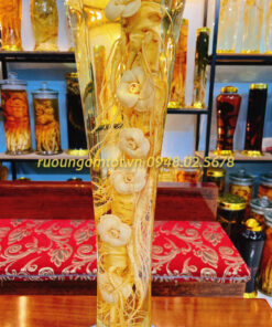 ruou-ngam-sam-han-quoc