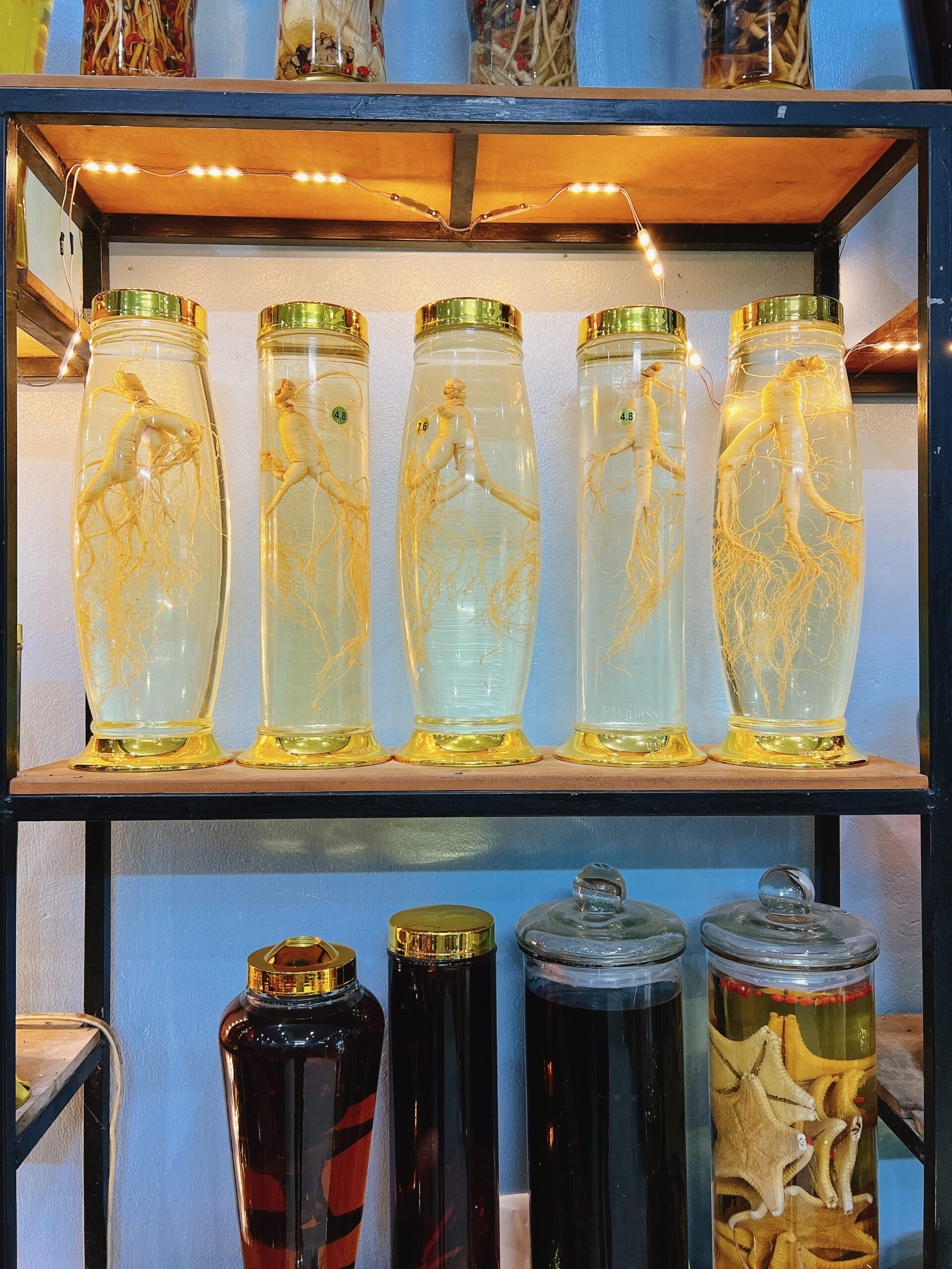 ruou ngam sam truong bach