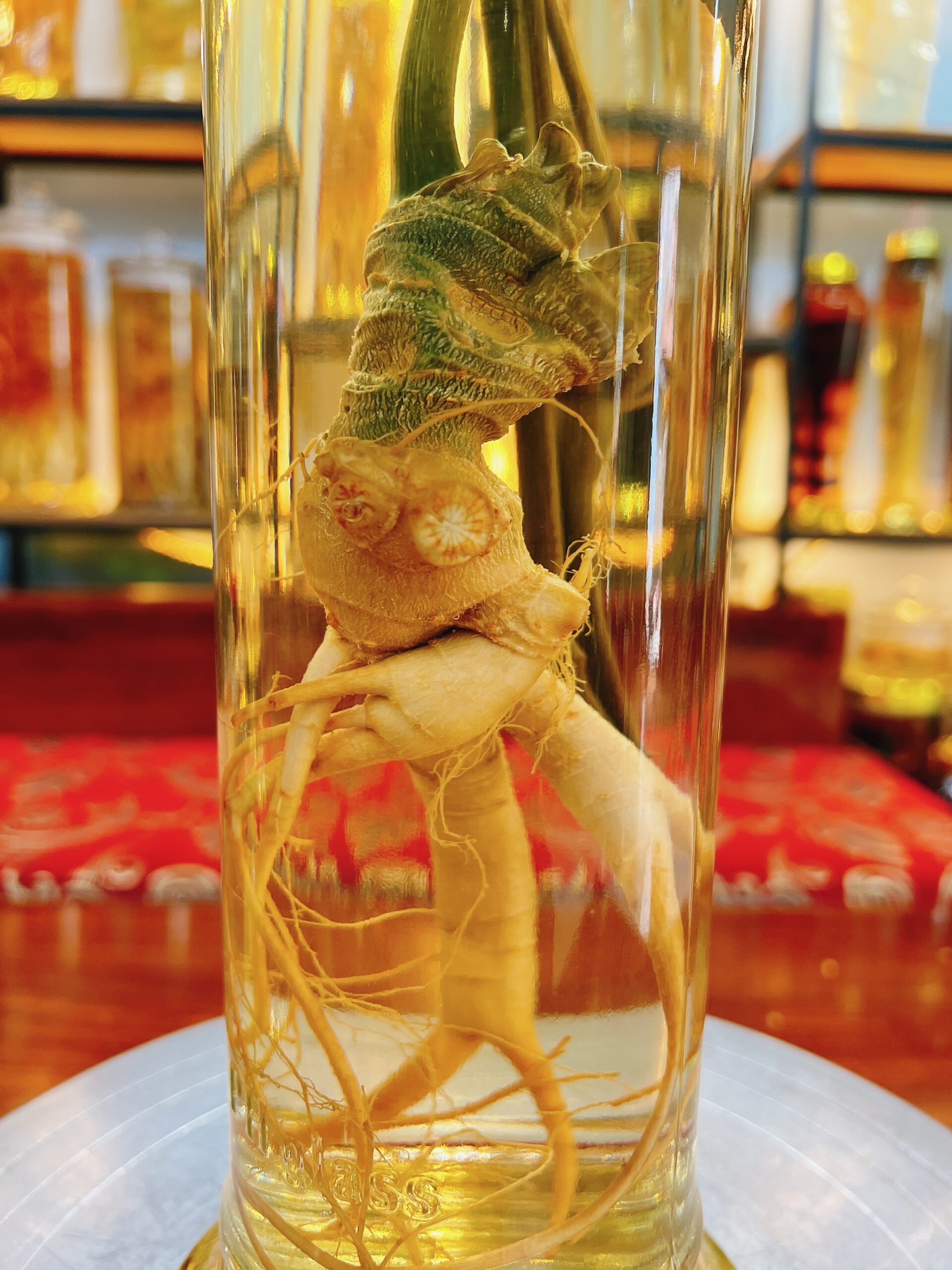 ruou ngam sam ngoc linh