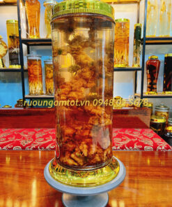 Rượu ngâm Sâm Ngọc Linh