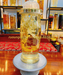 Rượu ngâm Sâm Vũ Diệp (Tam Thất hoang)